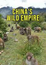 Watch China's Wild Empire Tvmuse