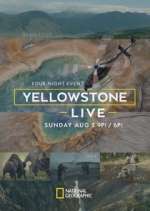 Watch Yellowstone Live Tvmuse