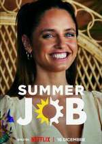 Watch Summer Job Tvmuse