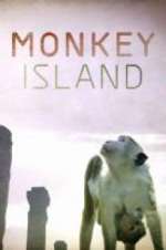 Watch Monkey Island Tvmuse