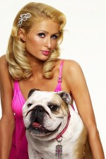 Watch Paris Hilton's British Best Friend Tvmuse