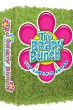 Watch The Brady Bunch Tvmuse