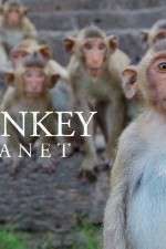 Watch Monkey Planet Tvmuse