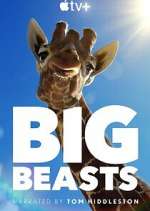 Watch Big Beasts Tvmuse