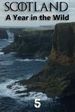 Watch Scotland: A Wild Year Tvmuse