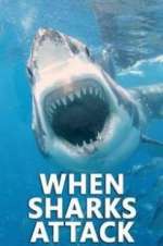 Watch When Sharks Attack Tvmuse