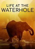 Watch Life at the Waterhole Tvmuse