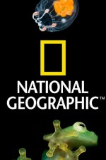 Watch Nat Geo Amazing! Tvmuse