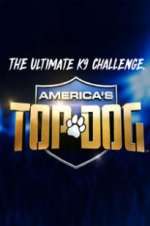 Watch America\'s Top Dog Tvmuse