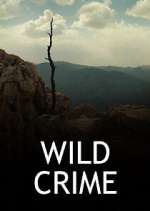 Watch Wild Crime Tvmuse