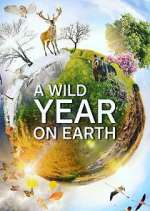 Watch A Wild Year on Earth Tvmuse