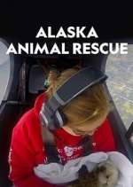 Watch Alaska Animal Rescue Tvmuse