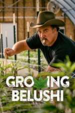 Watch Growing Belushi Tvmuse