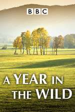 Watch A Year in the Wild Tvmuse