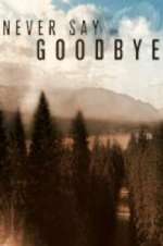 Watch Never Say Goodbye Tvmuse