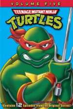 Watch Teenage Mutant Ninja Turtles Tvmuse