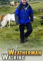 Watch Weatherman Walking Tvmuse