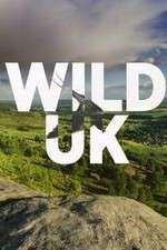 Watch Wild UK Tvmuse