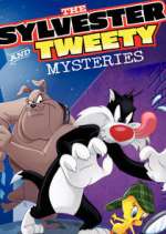 Watch The Sylvester & Tweety Mysteries Tvmuse