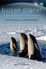 Watch Frozen Planet Tvmuse