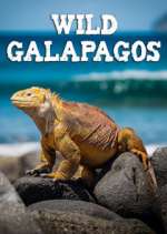 Watch Wild Galapagos Tvmuse