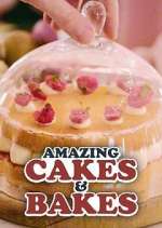 Watch Amazing Cakes & Bakes Tvmuse