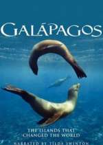 Watch Galapagos Tvmuse