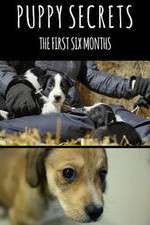 Watch Puppy Secrets: The First Six Months Tvmuse