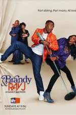 Watch Brandy and Ray J: A Family Business Tvmuse