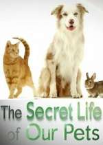 Watch The Secret Life of Our Pets Tvmuse
