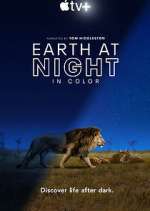 Watch Earth At Night In Color Tvmuse