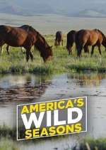 Watch America's Wild Seasons Tvmuse