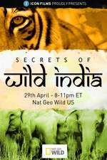 Watch Secrets of Wild India Tvmuse