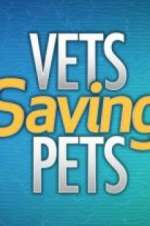 Watch Vets Saving Pets Tvmuse