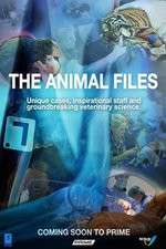 Watch The Animal Files Tvmuse