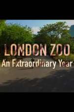 Watch London Zoo: An Extraordinary Year Tvmuse