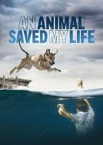 Watch An Animal Saved My Life Tvmuse