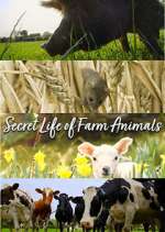 Watch Secret Life of Farm Animals Tvmuse