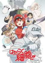 Watch Cells at Work! Tvmuse