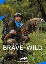 Watch Coyote Peterson: Brave the Wild Tvmuse