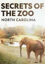 Watch Secrets of the Zoo: North Carolina Tvmuse