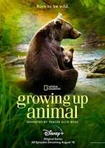 Watch Growing Up Animal Tvmuse