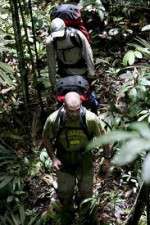 Watch Walking The Amazon Tvmuse