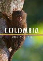 Watch Colombia: Wild and Free Tvmuse