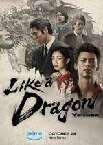 Watch Like a Dragon: Yakuza Tvmuse