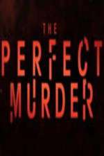 Watch The Perfect Murder Tvmuse