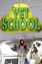 Watch Vet School Tvmuse