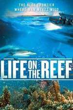 Watch Life on the Reef Tvmuse