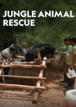 Watch Jungle Animal Rescue Tvmuse