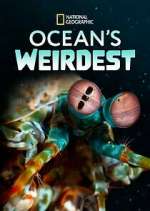 Watch Ocean's Weirdest Tvmuse